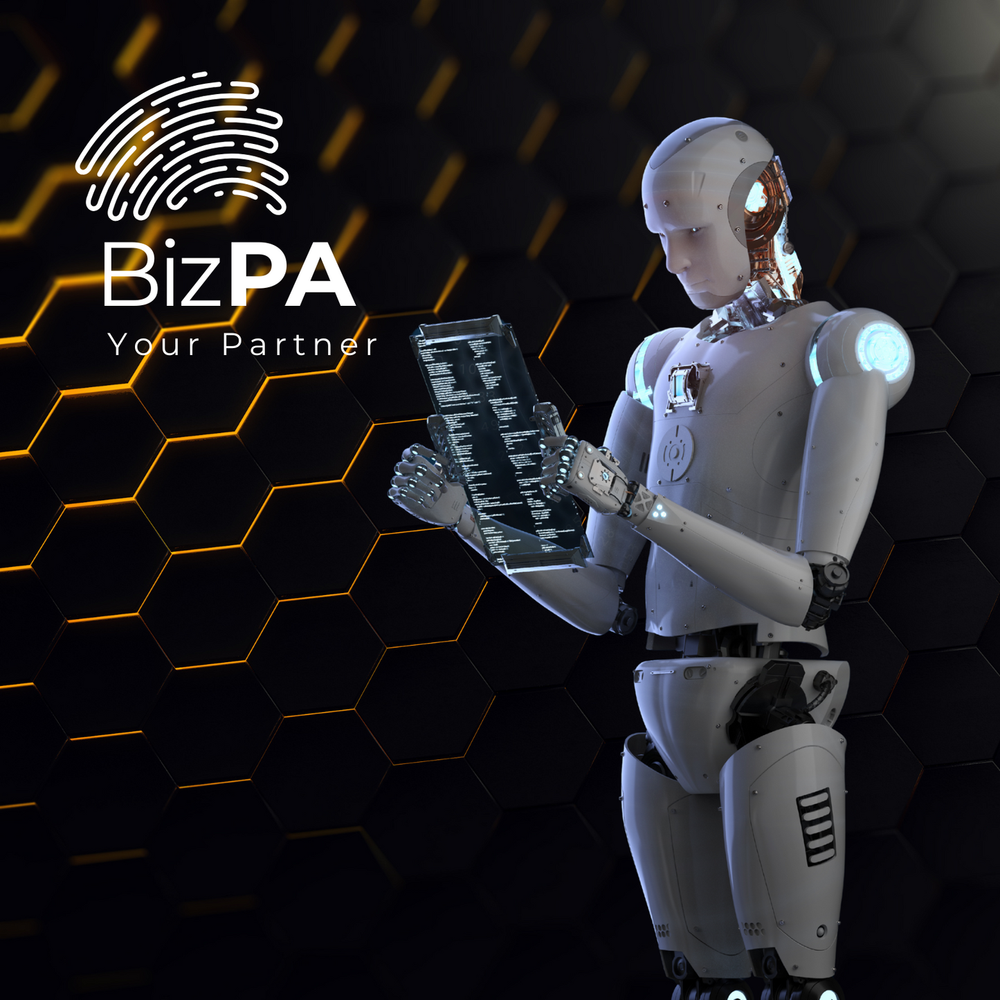 BizPA Solo Membership